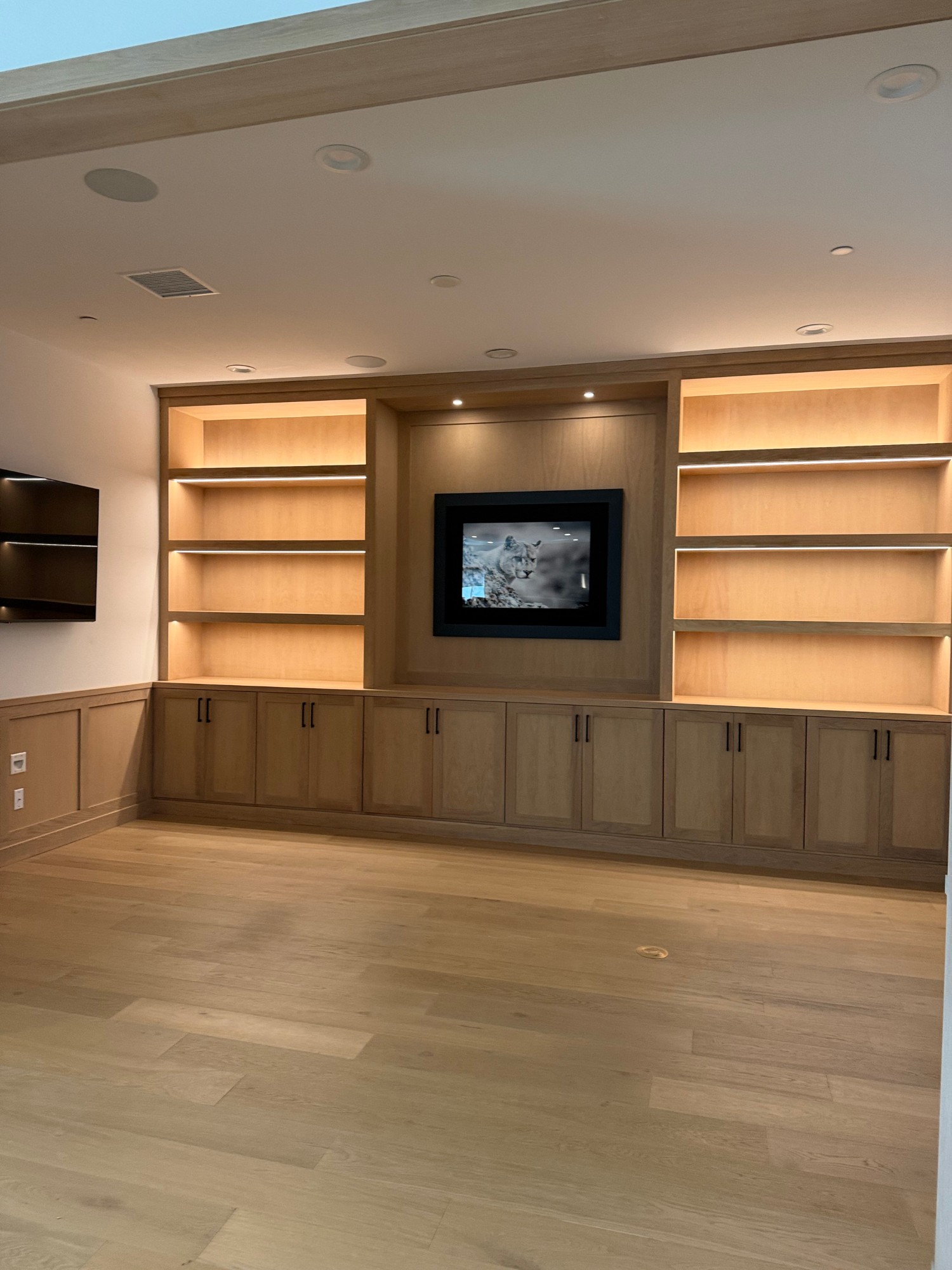 LED lighting entertainment center built-in San Fernando Valley